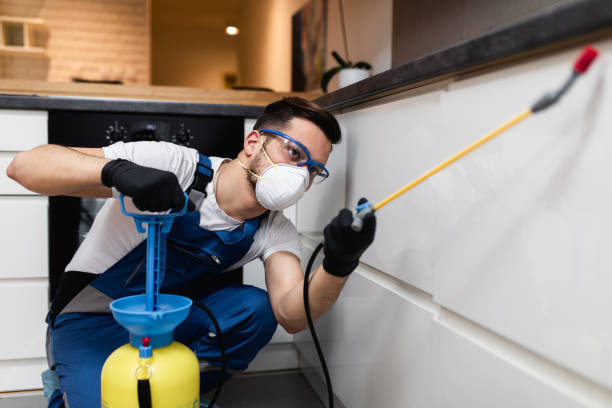 Pest Control Cost in South Hutchinson, KS