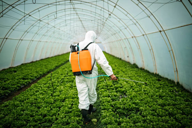 Best Pest Prevention Services  in South Hutchinson, KS