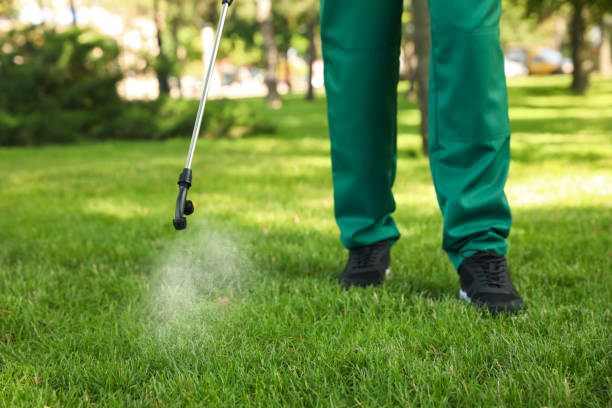 Professional Pest Control in South Hutchinson, KS