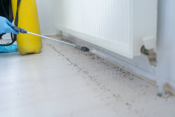  South Hutchinson, KS Pest Control Pros