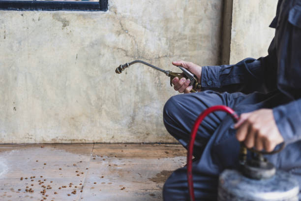 Best Pest Removal Services  in South Hutchinson, KS